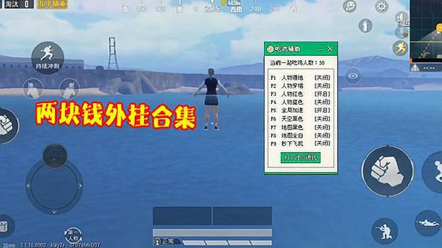 突破游戏界限：探索和平精英辅助工具的神秘世